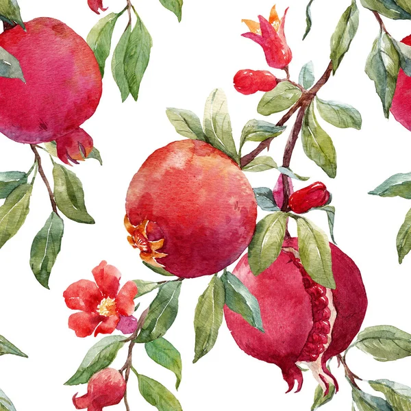 Granatäpple frukt mönster — Stockfoto