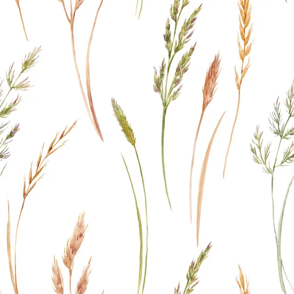 Vilda fält gräs mönster — Stockfoto