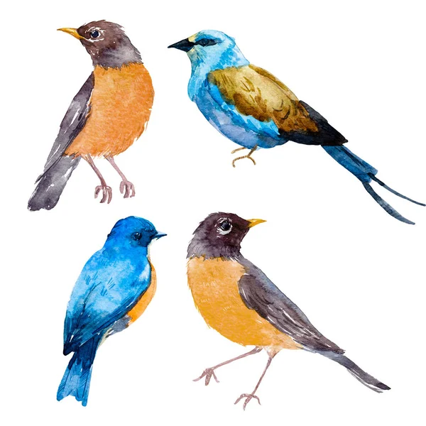 Aquarel vogel set — Stockfoto