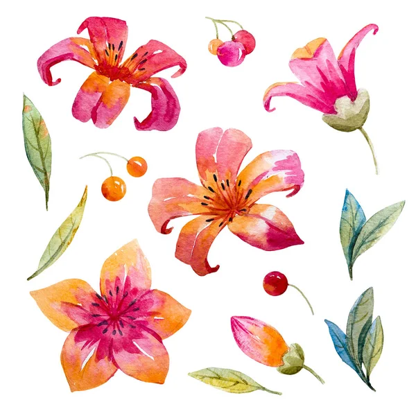 suluboya çiçek kümesi