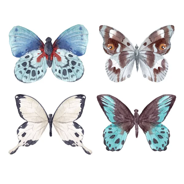 Acquerello farfalle impostato — Foto Stock