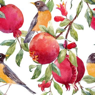 Nar meyve vektör desen