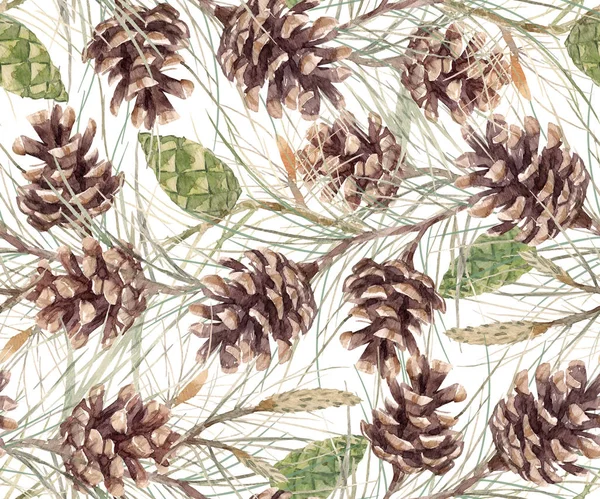 水彩 fir コーン パターン — ストック写真