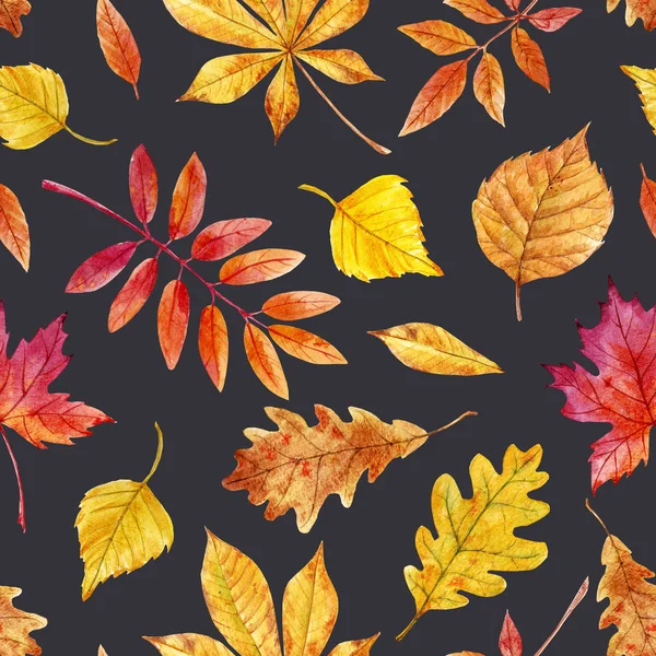 Watercolor autumn leaves pattern — Stock Photo, Image