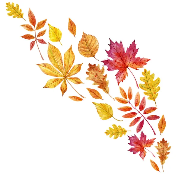 Watercolor fall leaves set — Stock Photo, Image