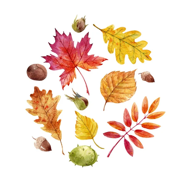 Watercolor fall leaves set — Stock Photo, Image