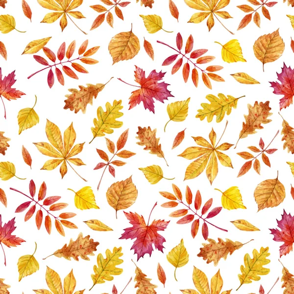 Watercolor autumn leaves vector pattern — Stock Vector
