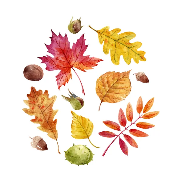 Watercolor fall leaves vector set — Stock Vector