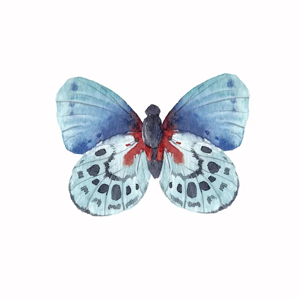 Watercolor butterfly vector illustration — Stock Vector