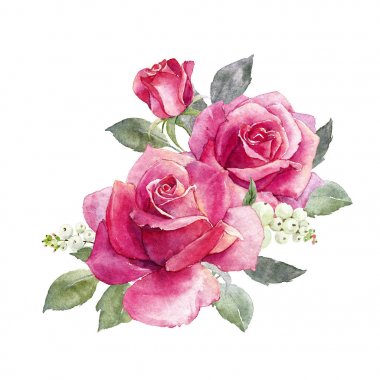 Suluboya gül kompozisyon