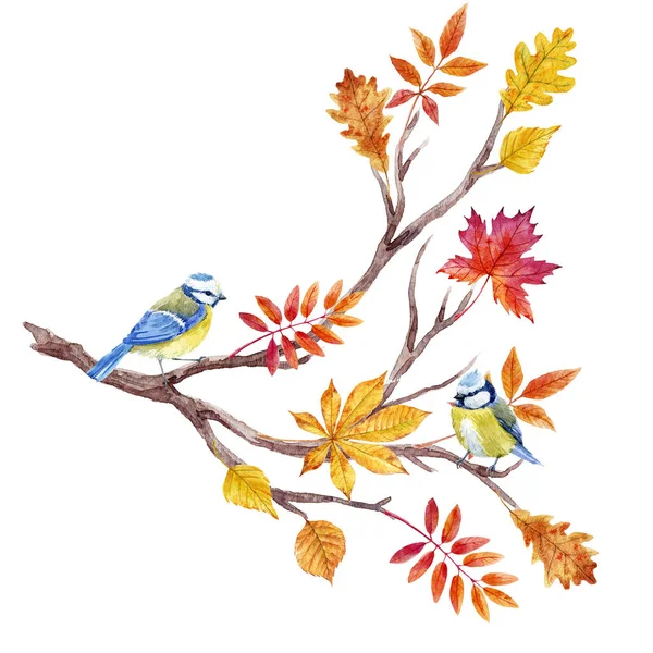 Watercolor fall tree branch — Stock Photo, Image