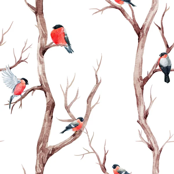 Fall bomen en vogels patroon — Stockfoto
