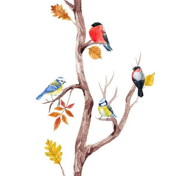 Fall trees and birds pattern — Stock Photo, Image