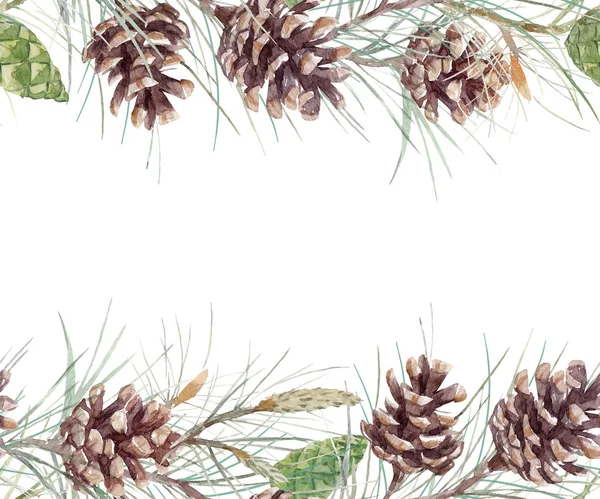 水彩 fir コーン パターン — ストック写真