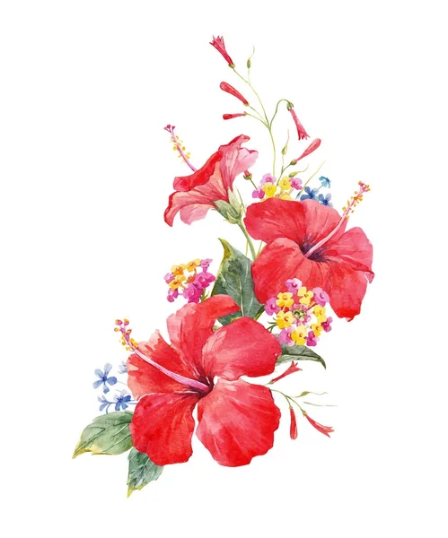 Composição de hibisco aquarela — Vetor de Stock
