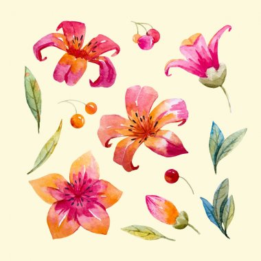 Suluboya çiçek vektör set