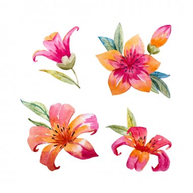 Suluboya çiçek vektör set