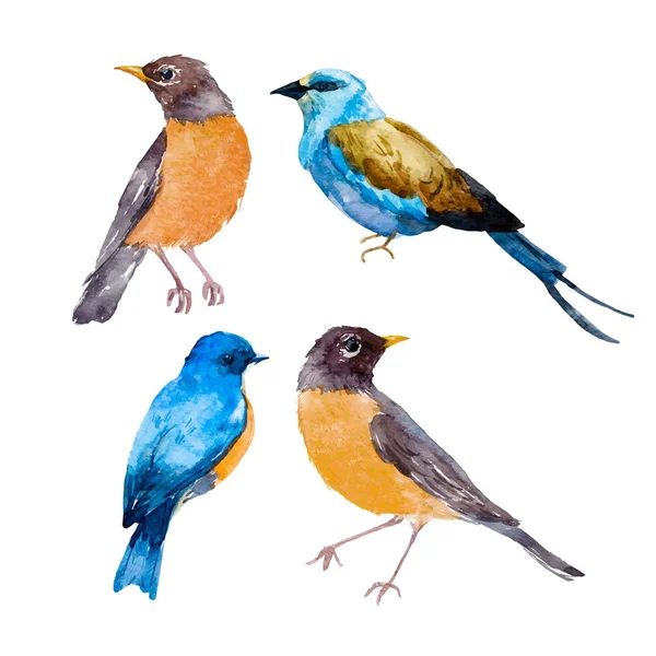 Aquarel vogel vector set — Stockvector