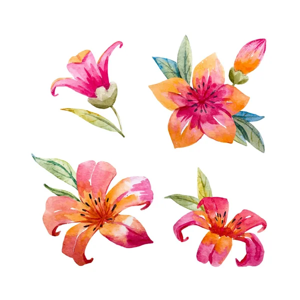 Suluboya çiçek vektör set