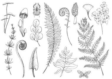 vektör çiçekli set