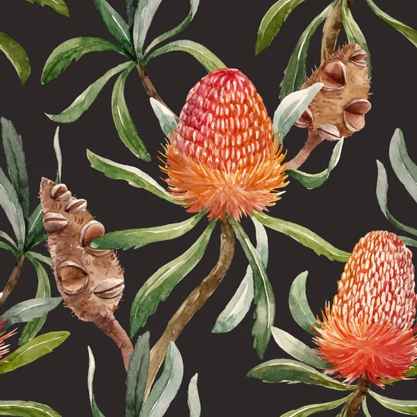 Aquarelle motif vectoriel australien tropical — Image vectorielle
