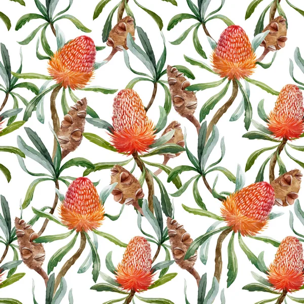 Aquarelle motif vectoriel australien tropical — Image vectorielle