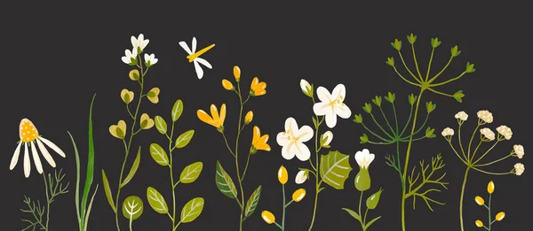 Suluboya çiçek kümesi — Stok fotoğraf