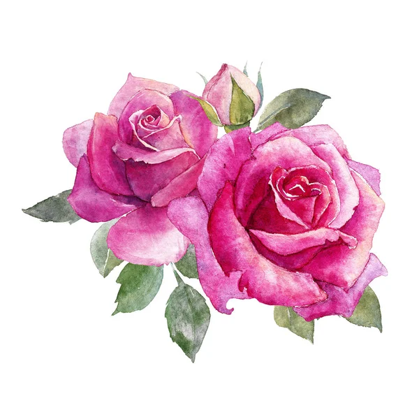 Composição de rosas aquarela — Fotografia de Stock
