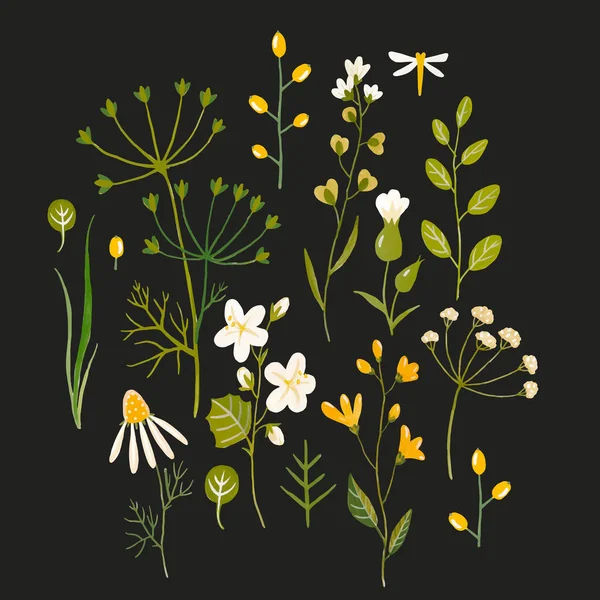 Patrón vectorial floral acuarela — Archivo Imágenes Vectoriales