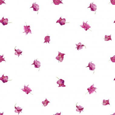 Suluboya çiçek vektör desen