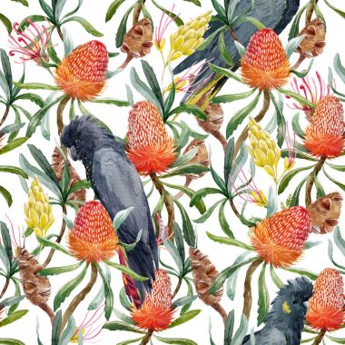 Suluboya tropikal Avustralya desen