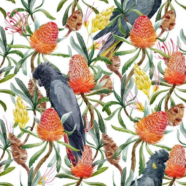 Watercolor tropical australian pattern — Stock Photo, Image