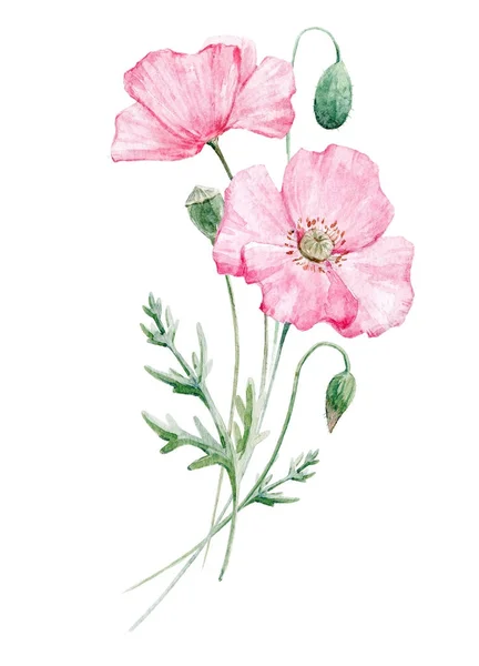 Watercolor poppy flower — Stock Photo, Image