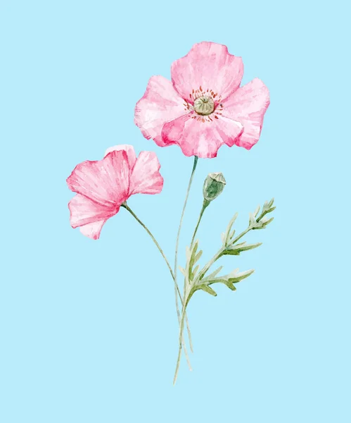 Suluboya haşhaş çiçeği — Stok Vektör