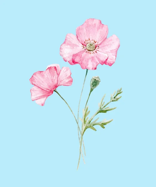 Flor de papoula aquarela — Vetor de Stock