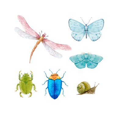Watercolor insect vector set clipart
