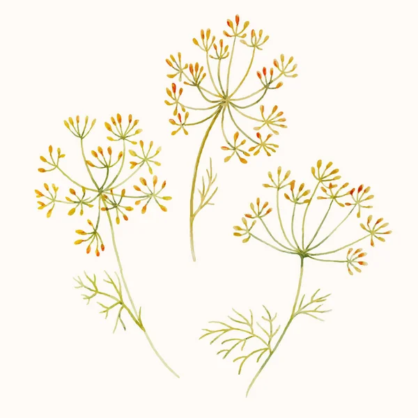 Ensemble vecteur floral aquarelle — Image vectorielle