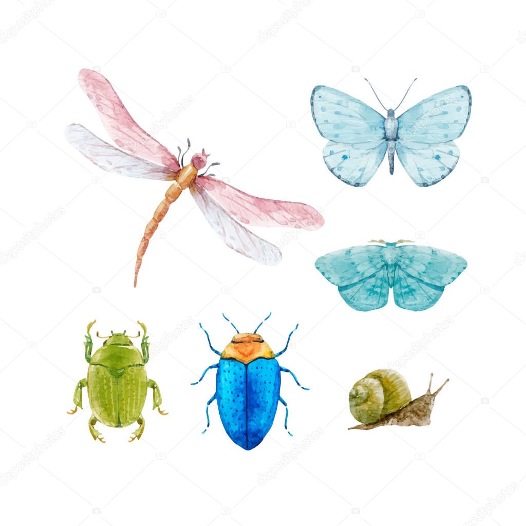 Watercolor insect vector set