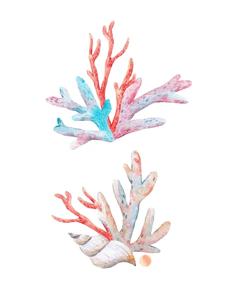 Akvarell korall sammansättning — Stockfoto