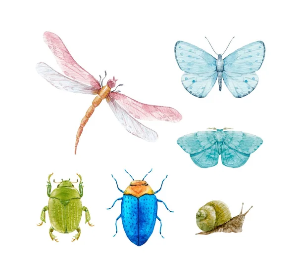 Set di insetti acquerello — Foto Stock