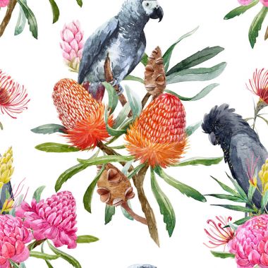 Suluboya tropikal Avustralya desen