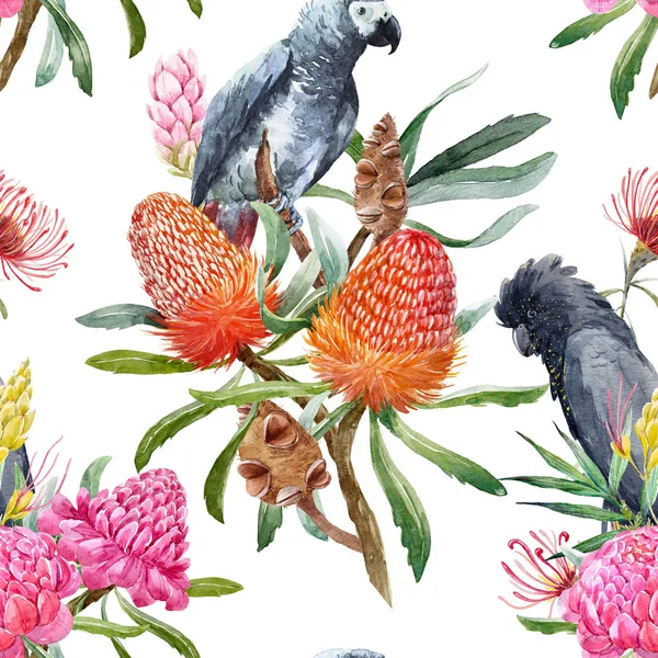 Suluboya tropikal Avustralya desen