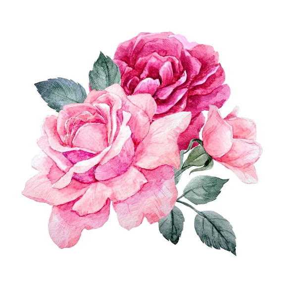 Акварельные розы — стоковое фото