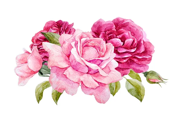 Acuarela rosas composición — Foto de Stock