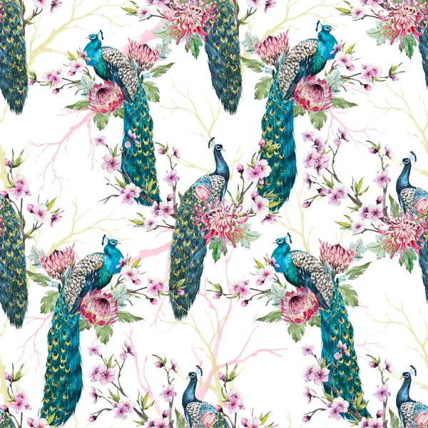 Watercolor peacock pattern — Stock Photo, Image
