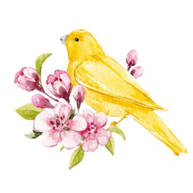 Suluboya çiçek kompozisyon