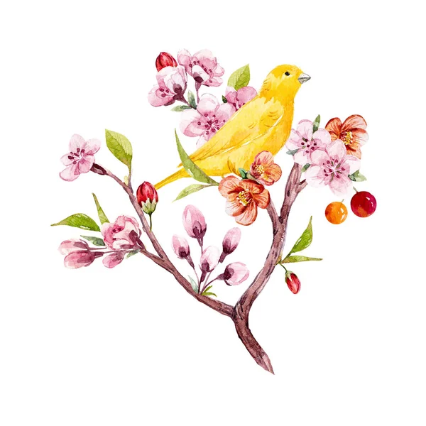 Suluboya çiçek kompozisyon