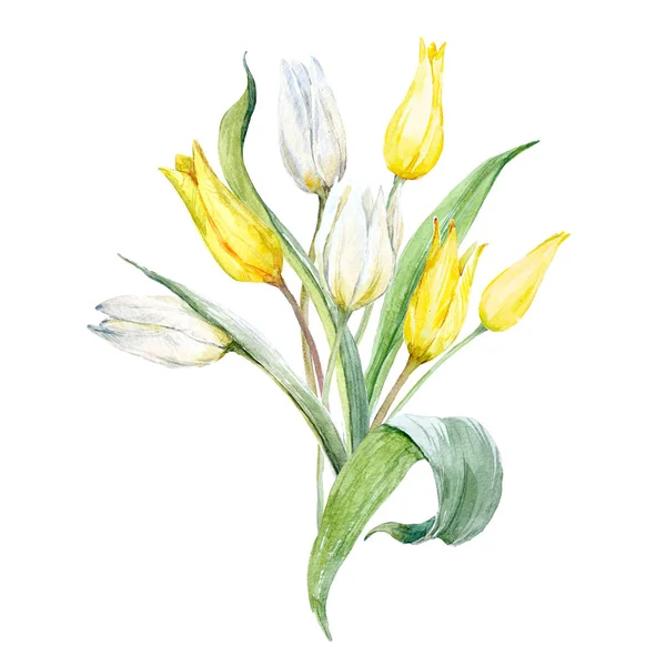 Watercolor tulip composition — Stock Photo, Image