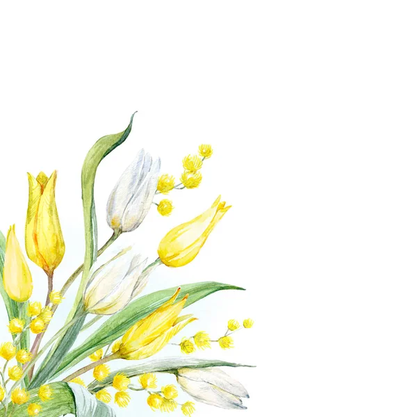 Složení akvarel Tulipán — Stock fotografie