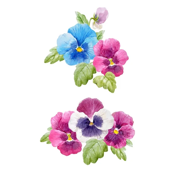 Ensemble vecteur fleur pansy aquarelle — Image vectorielle